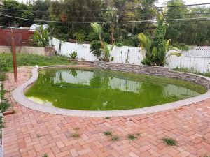 La Mesa Pool Services