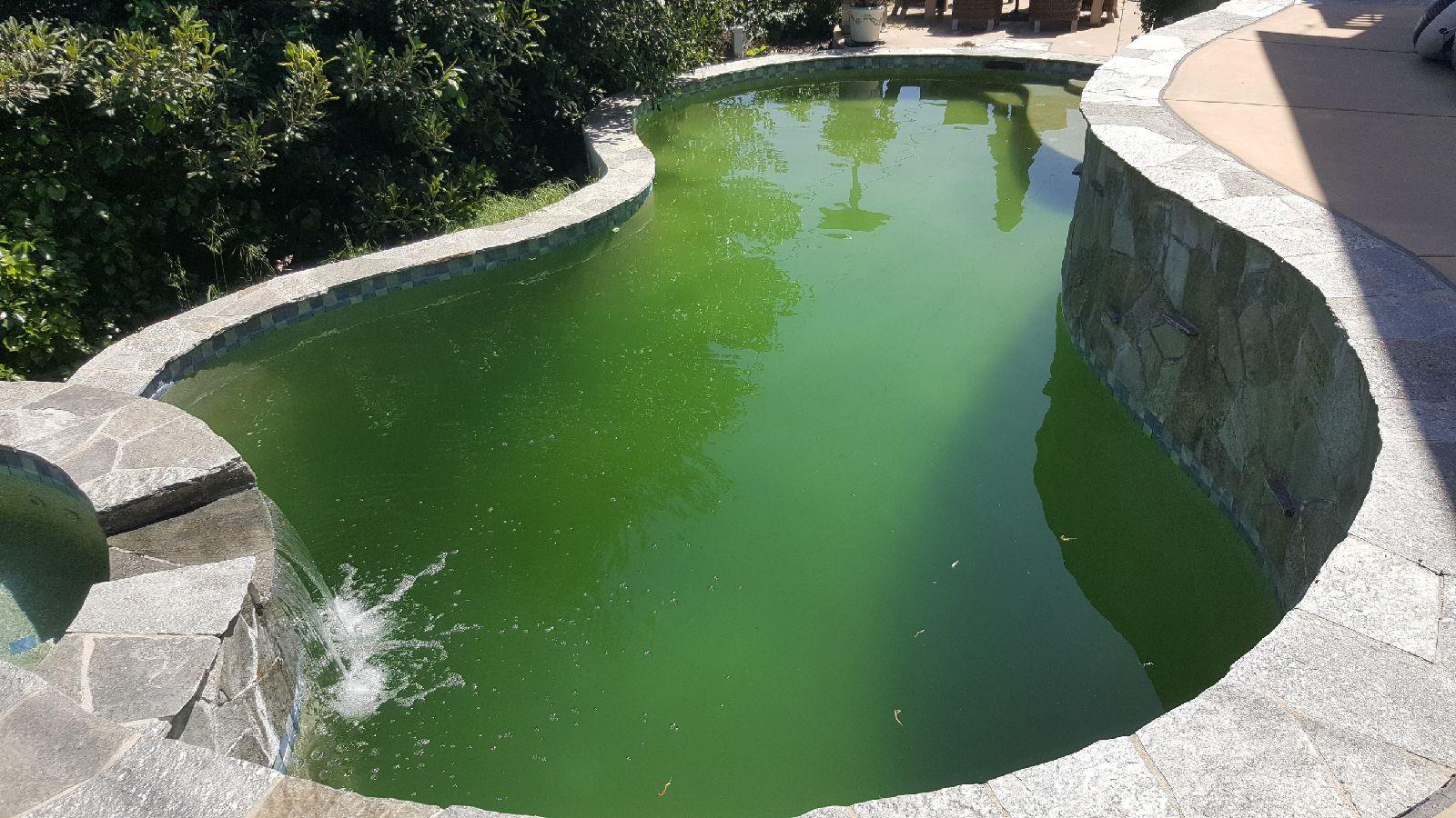 El Cajon Green Pool Services