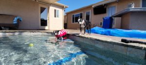 El Cajon Pool Services