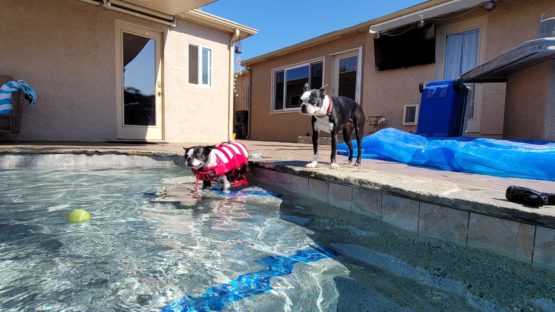 El Cajon Pool Services