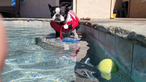 El Cajon Pool Services