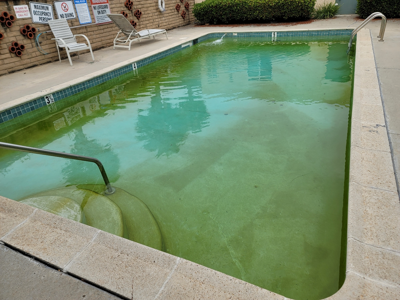 Green algae-filled pool before Al's Pool and Spa service