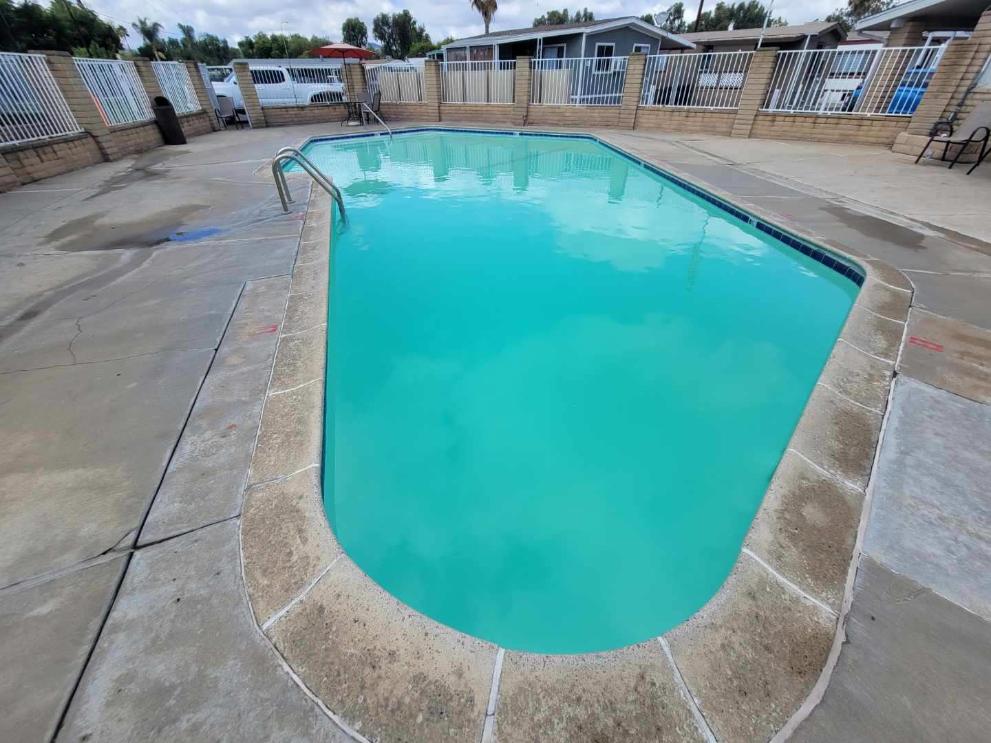 Green algae-filled pool before Al's Pool and Spa service