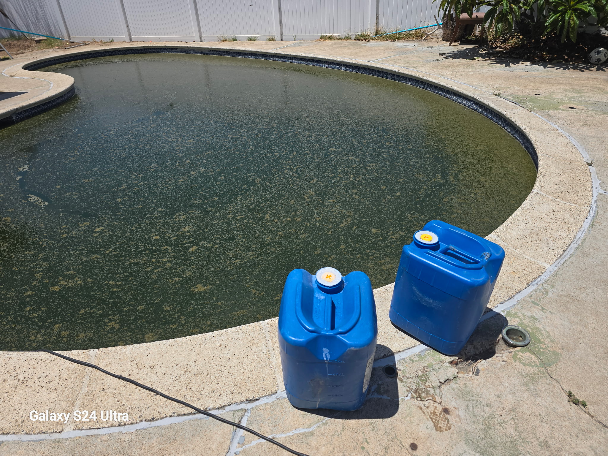 Green, algae-covered pool before cleanup by Al's Pool and Spa