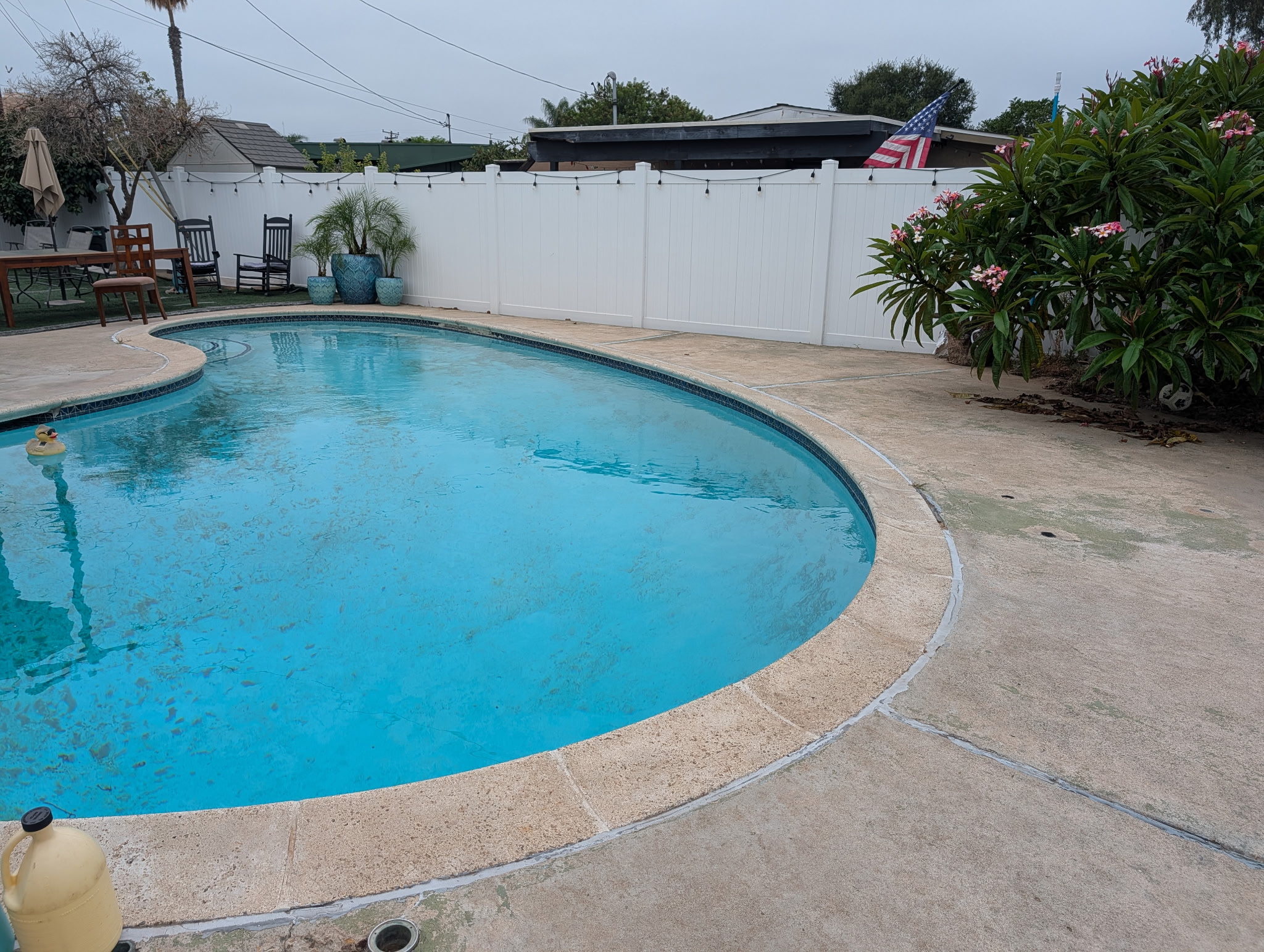 Same pool crystal clear and swim-ready after Al's Pool and Spa green pool clean-up